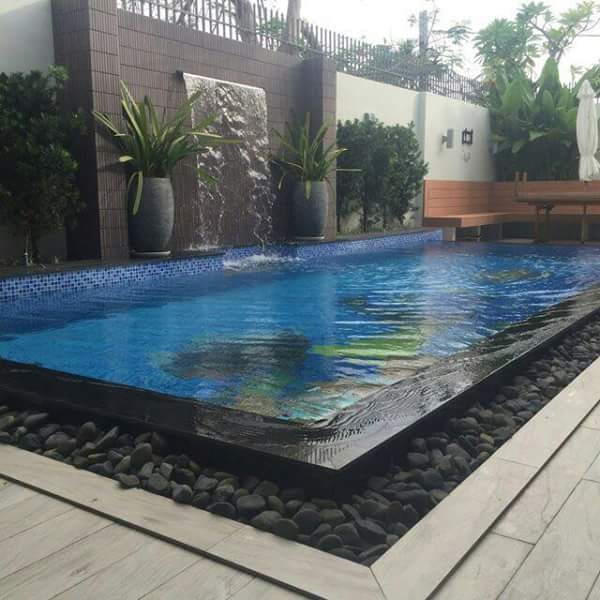 Gia phong 31