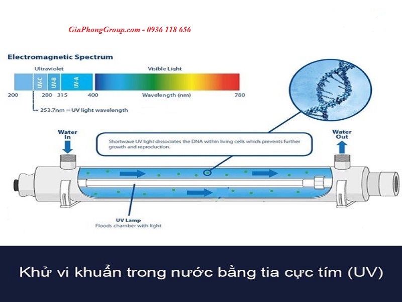 Đèn UV là gì? Nguyên tắc khử vi khuẩn trong nước bằng tia cực tím